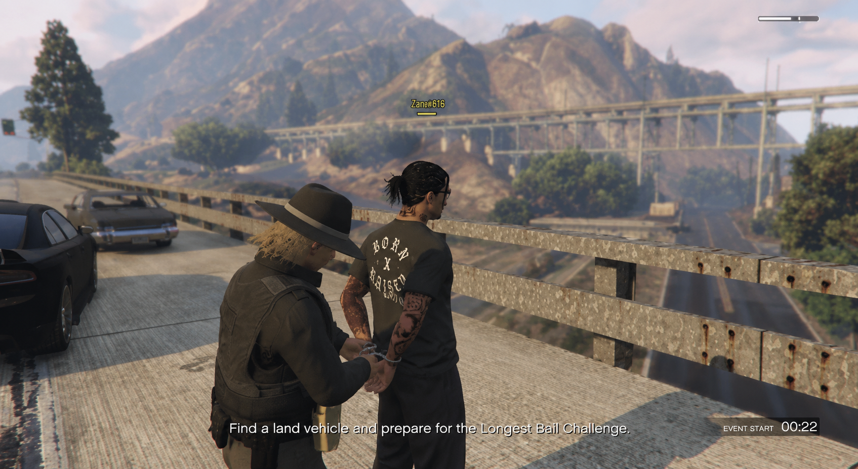Trooper arrest on the Tataviam bridge